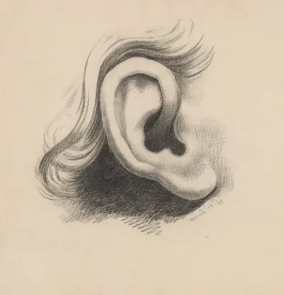 Ear Study No 1