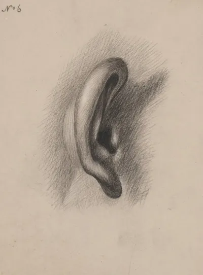 Ear Study No 6