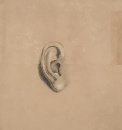Ear Study