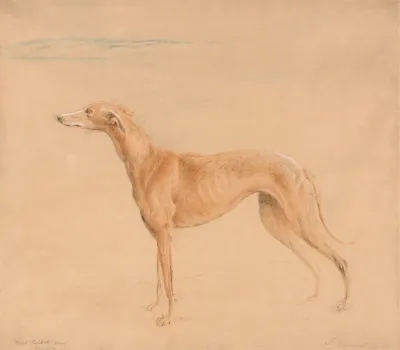 Earl Talbots Hound Thomasine
