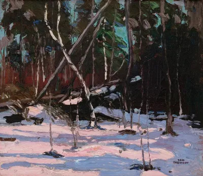 Early Snow Algonquin Park