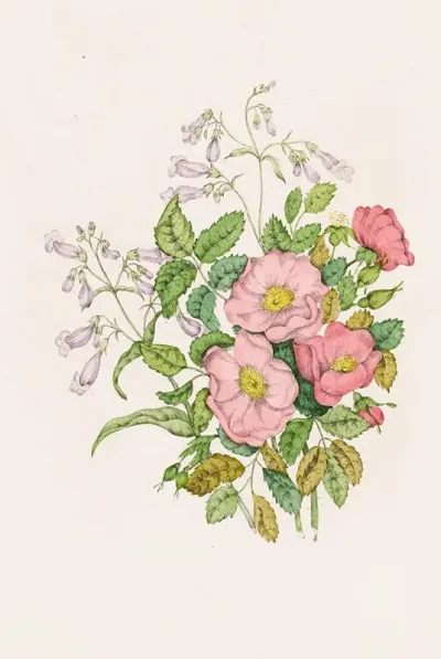 Early Wild Rose Pentstemon Beard Tongue