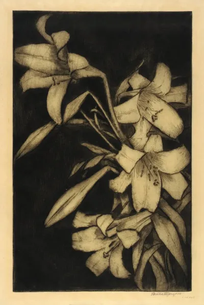 Easter Or Madonna Lilies