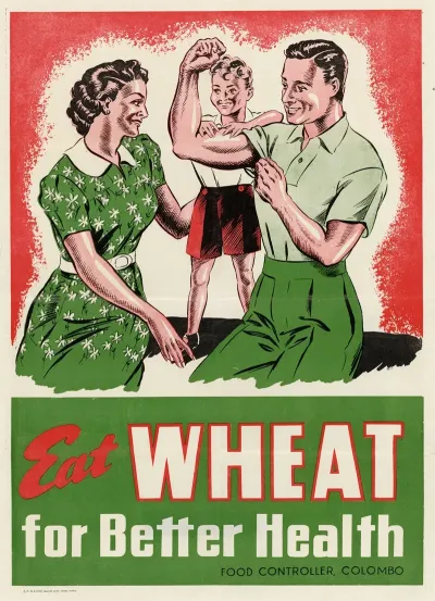 Eat Wheat For Better Health 2