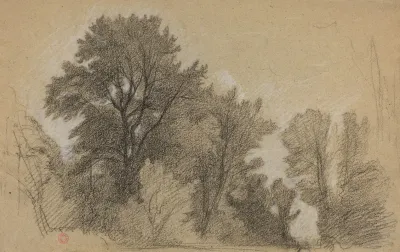 Edge Of A Wood