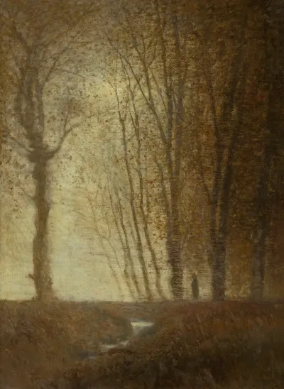 Edge Of The Forest In The Moonlight