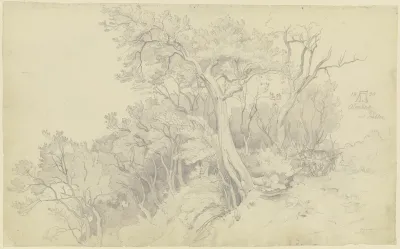 Edge Of The Forest Near Olevano