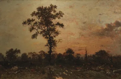 Edge Of The Forest Sun Setting