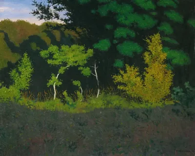 Edge Of The Wood