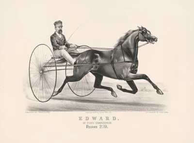 Edward By Fisks Hambletonian
