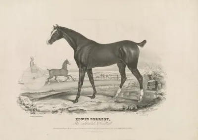 Edwin Forrest The Celebrated Trotter