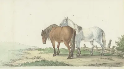 Een Bruin En Wit Paard Op Een Weg Naast Een Hek