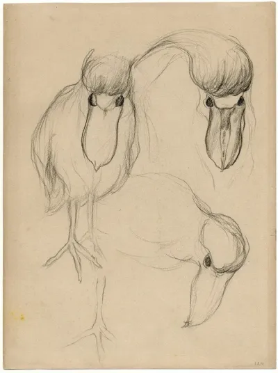 Een Dodo