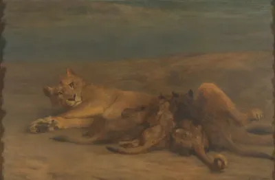 Een Leeuwin Met Vier Zogende Welpen Genaamd Moederliefde