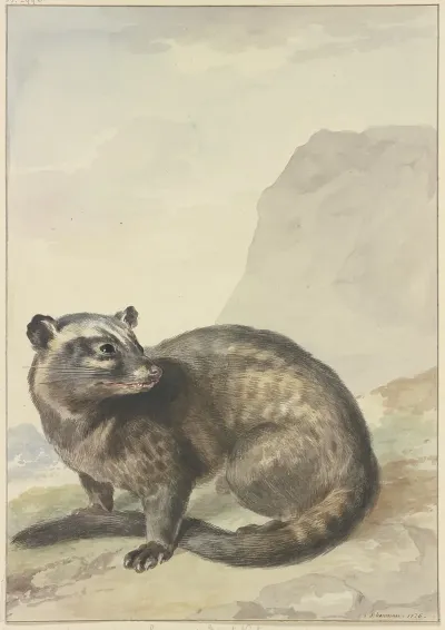 Een Vreemde Levet Kat