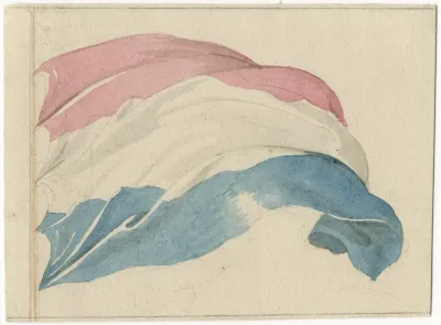 Een Wapperende Nederlandse Vlag