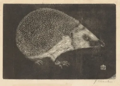Egel