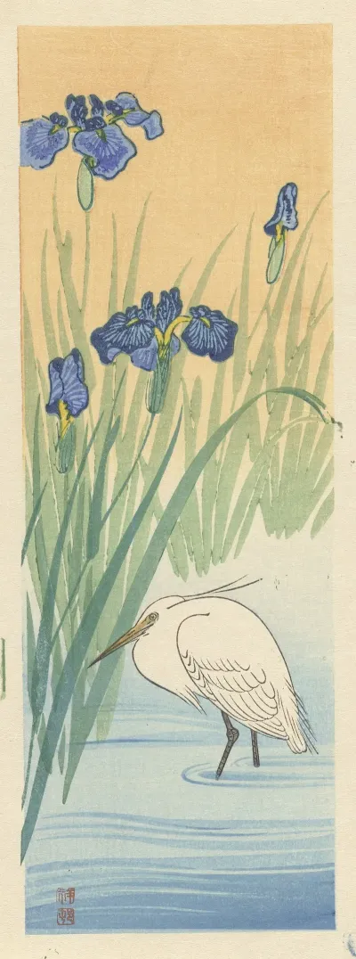 Egret 2