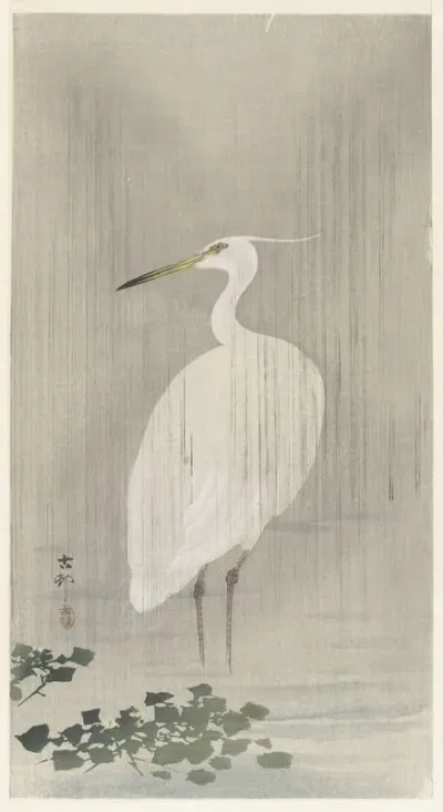 Egret In Rain