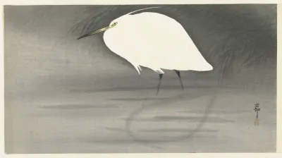 Egret