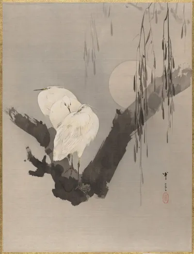 Egrets In A Tree At Night