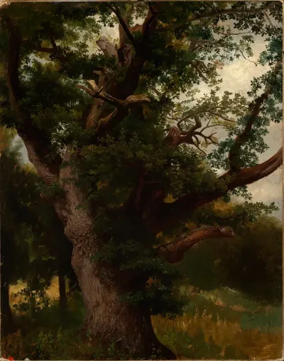 Eichbaum