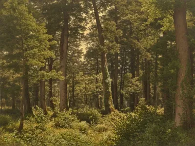 Eichwald Oak Forest