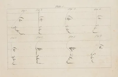 Eight Studies Of Facial Profiles