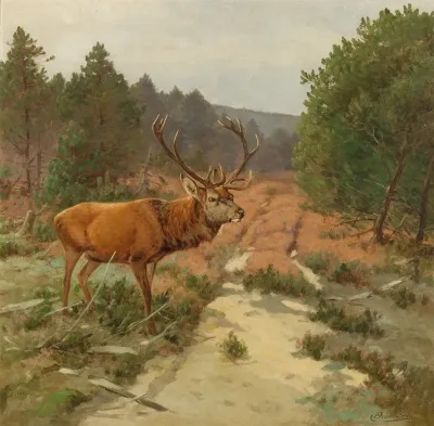 Ein Hirsch Auf Der Waldlichtung