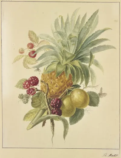 Eine Ananas Pflaumen Und Himbeeren