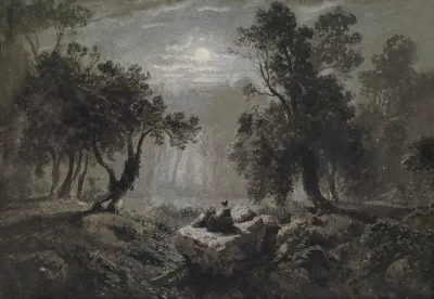 Eine Romantische Waldlandschaft Im Mondlicht