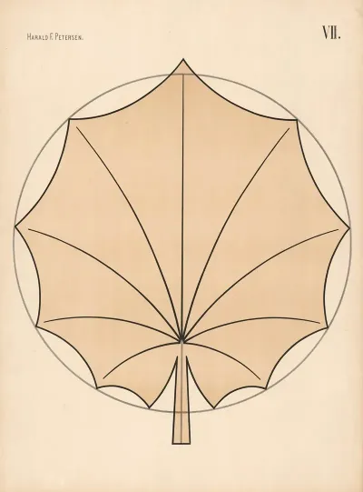 Elementary Freehand Drawing Vol 2 Pl 07