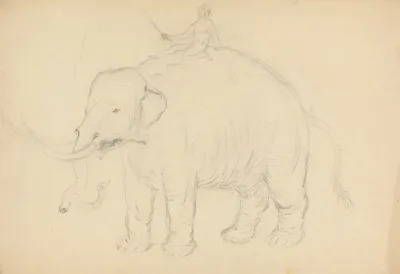 Elephant With Rider 2
