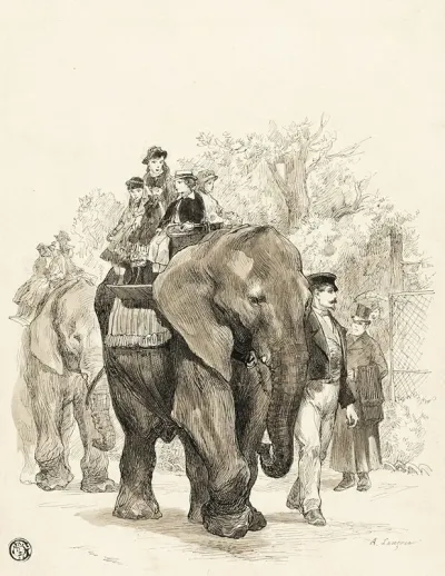 Elephant With Riders In Jardin Des Plantes Paris