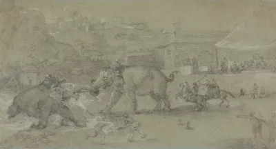 Elephants Fighting