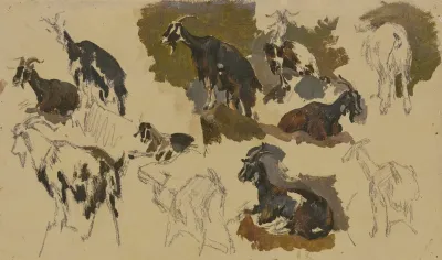 Eleven Goats
