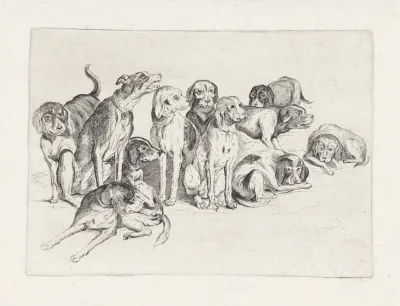 Eleven Hounds 2