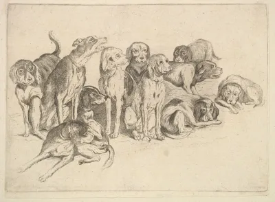 Eleven Hounds