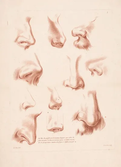 Eleven Noses From Different Perspectives