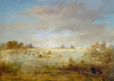 Elk Grazing On An Autumn Prairie