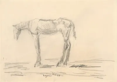 Emaciated Horse 2