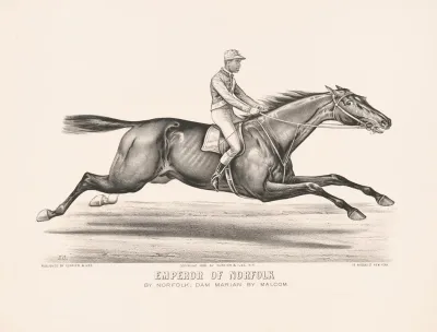 Emperor Of Norfolk By Norfolk Dam Marian By Malcom