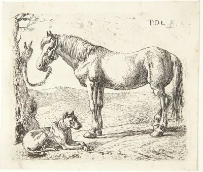 En Hest Og En Hund