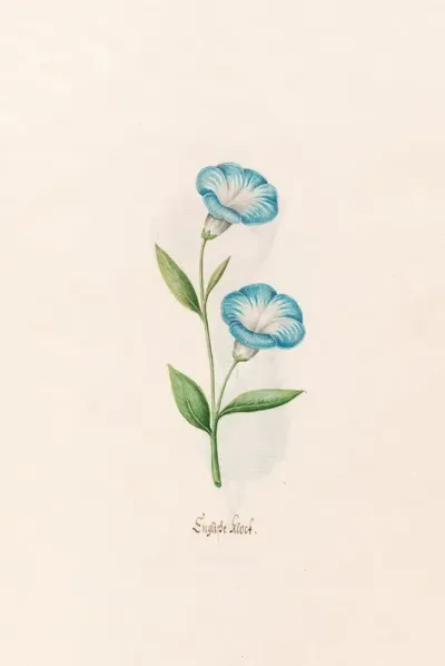 Englishe Klock