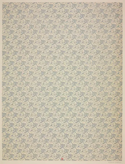 Ensemble De Papiers De Garde Pour Eugene Verneau Pl 02