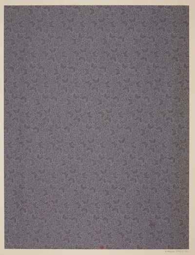 Ensemble De Papiers De Garde Pour Eugene Verneau Pl 25