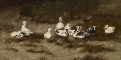 Enten Am Bachufer