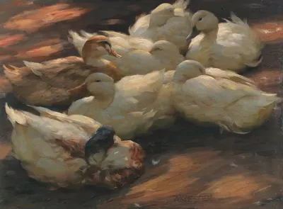 Enten Am Boden Lagernd