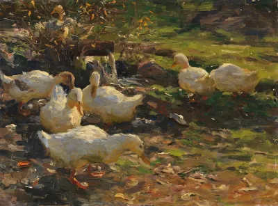 Enten Am Brunnele