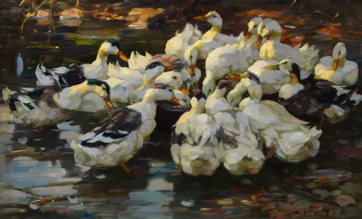 Enten Am Fresnapf Entenfutterung